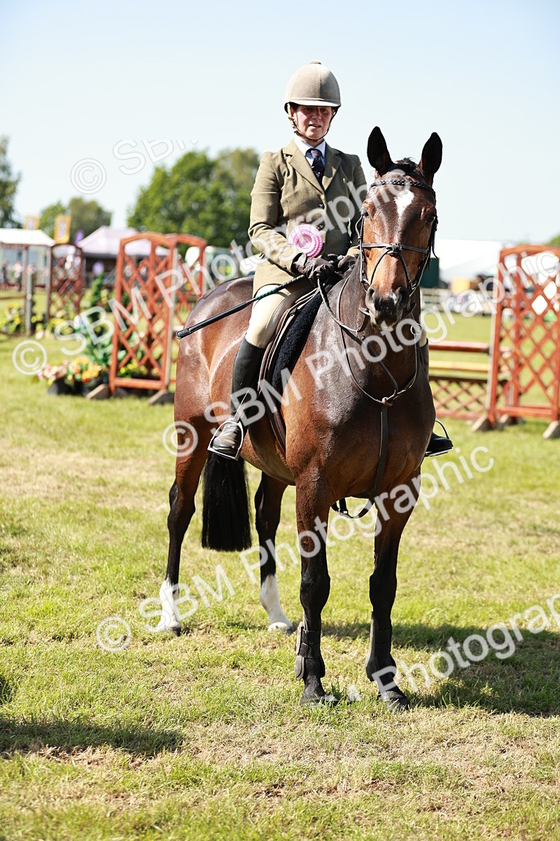 SBM_18478 - Class 112-113 - BSPS LIHS Working Sports Pony
