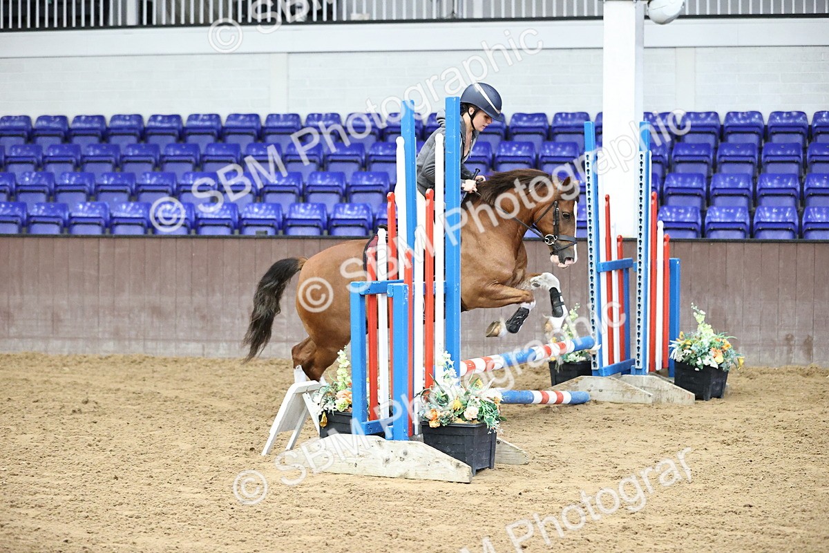 SBM_009218 - 50cm