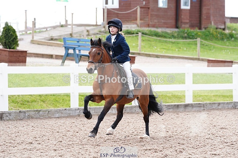 250505-093228-04104 - Cls 12 Stepping Stones