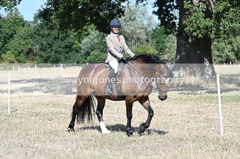 WJ7_3510 - Class 9 Mountain & Moorland Ridden
