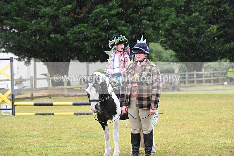 WJ6_9417 - Class 11 Fancy Dress