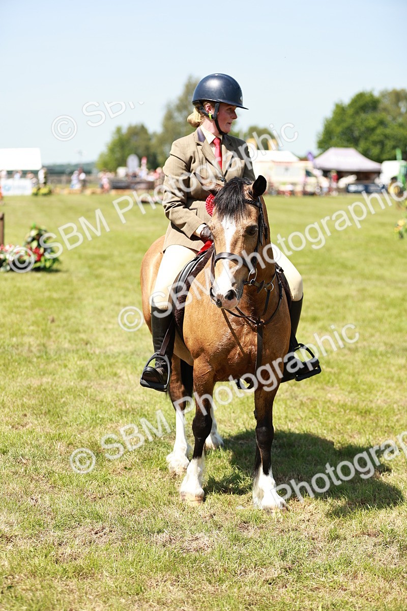 SBM_16407 - Class 110-111 - Training Stakes (70cms 80cms)