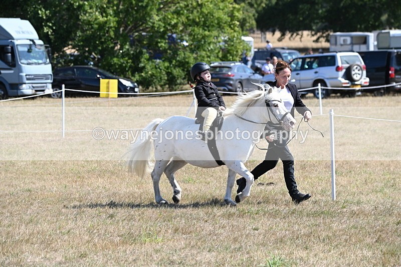WJ6_7838 - Class 36 Lead Rein