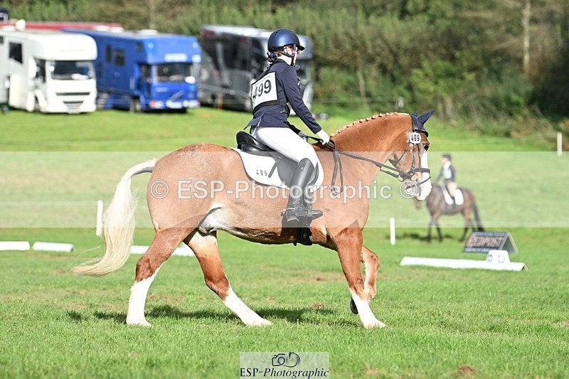 231020-143832-10700 - 499-GORFELYN.PETER.THE.GREAT-Charlotte.Bellamy-DR