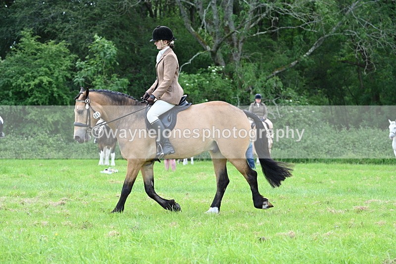 WJ7_2542 - Class 12A Coloured Class