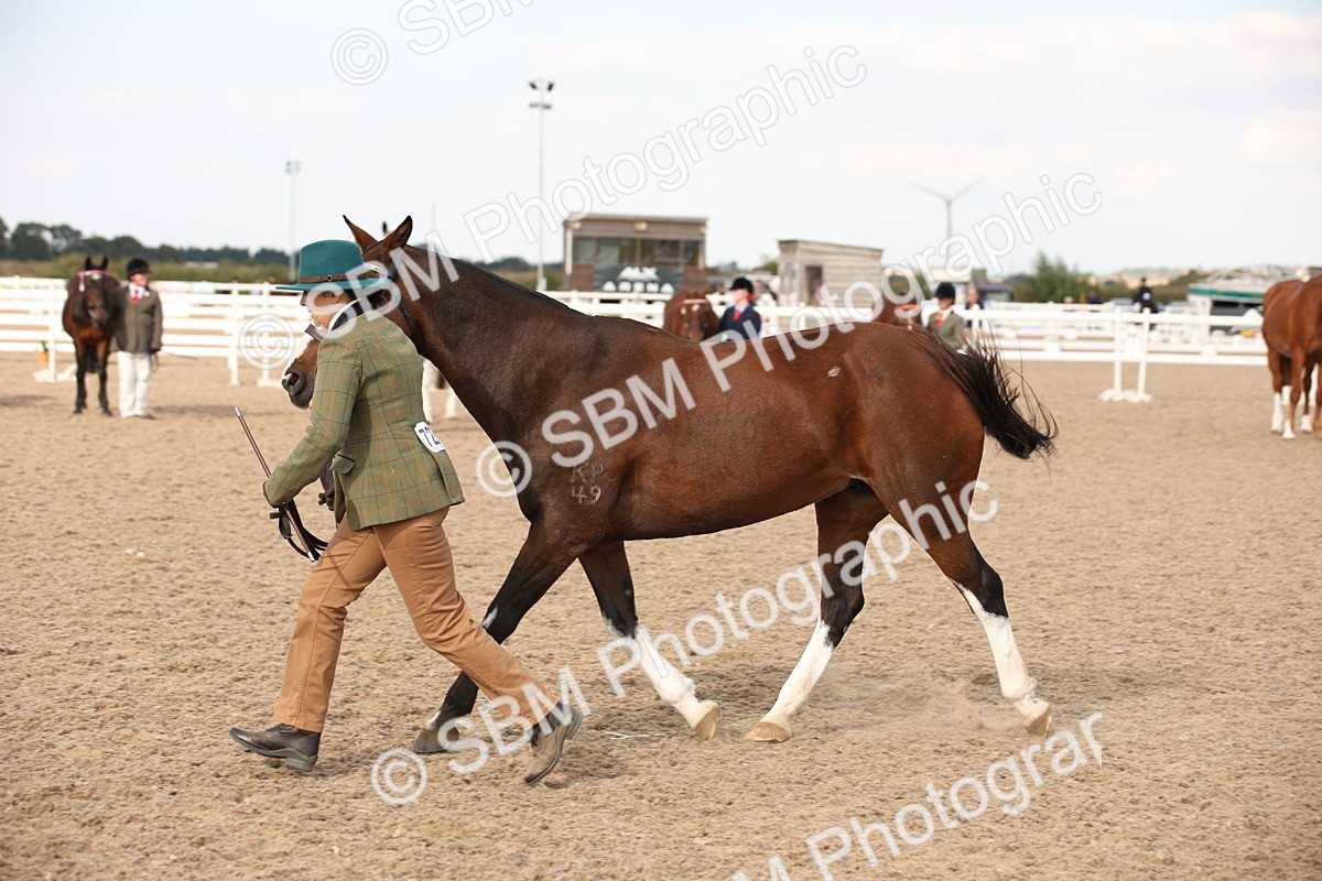SBM_08204 - Class 27 - IH Competition Horse-Pony