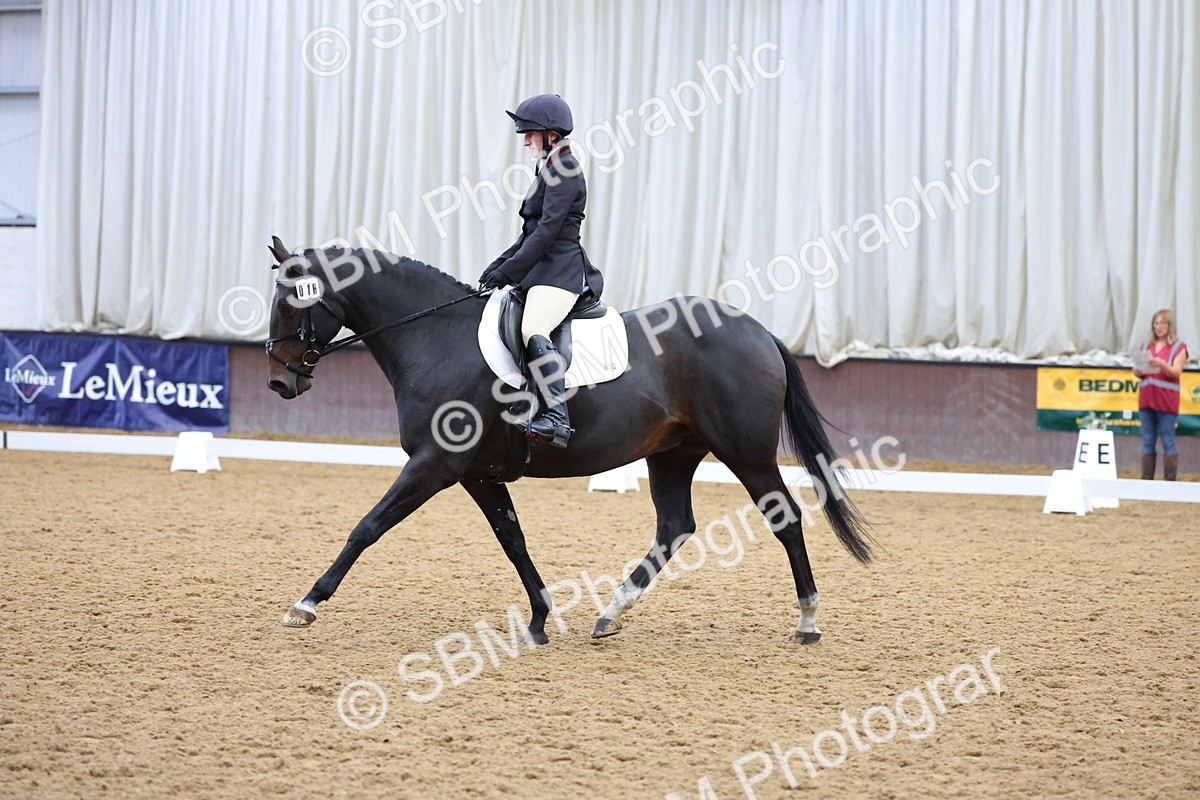SBM_002052 - Class 5 - Novice 3