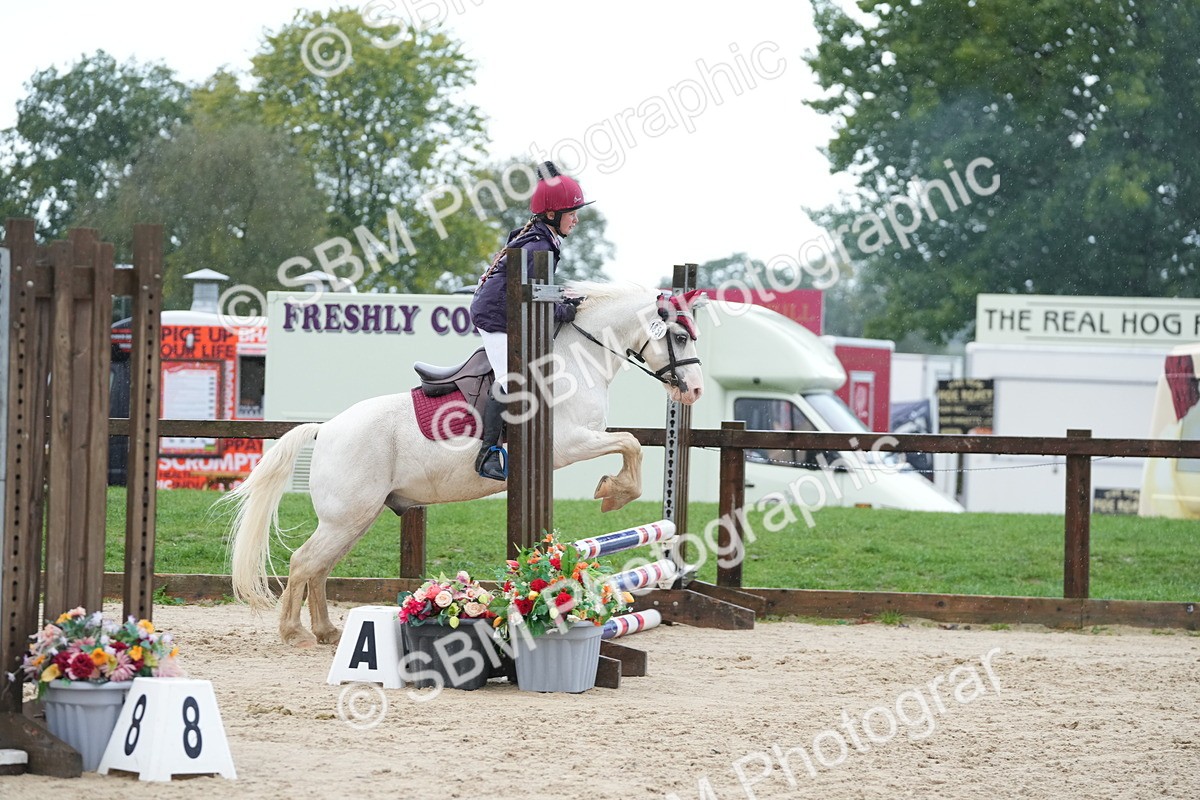 SBM_36327 - J5 - Junior Pony 50cm Championship