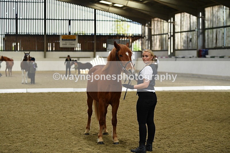 WJ5_3978 - Class 2 Best Condition In hand