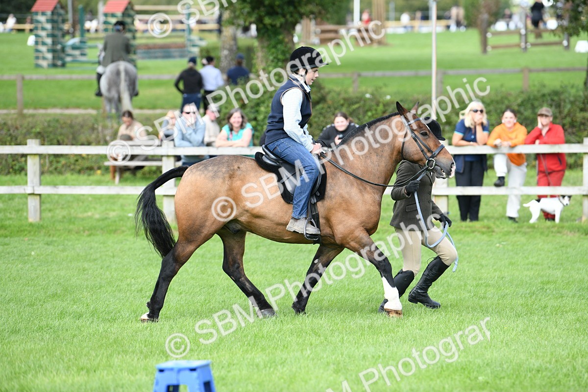 SBM_46850 - S12 - Family Horse & Pony