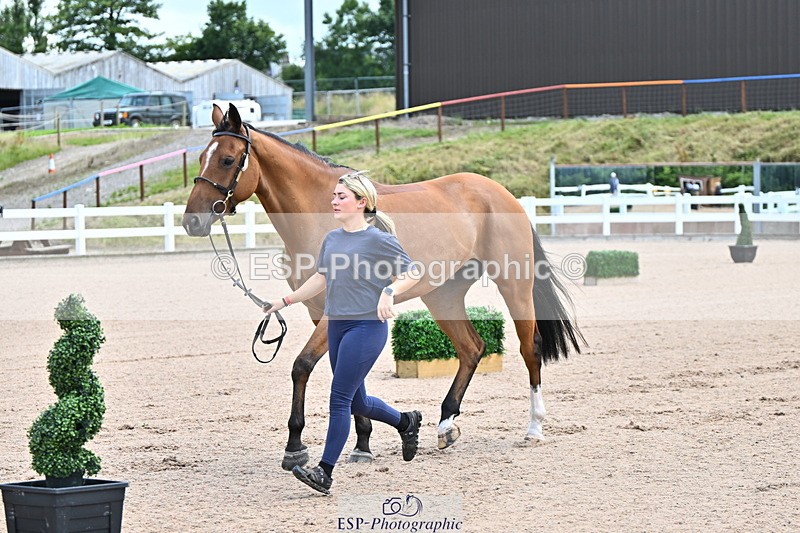 240718A-105236-00893 - Trot Up 11am to 12pm