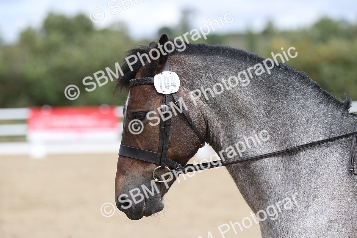 SBM_002839 - Class 6 - Prelim 3 Champs