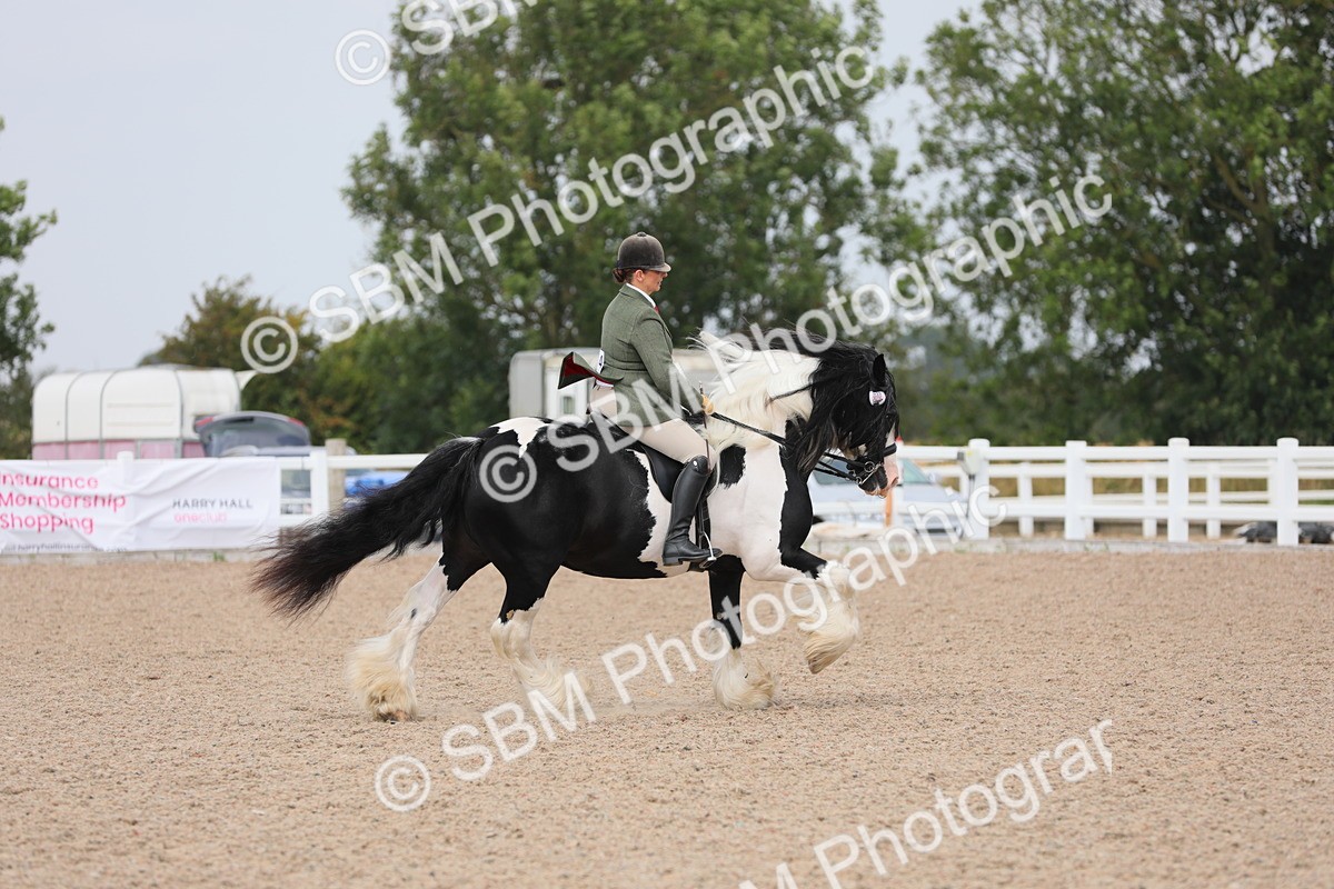 SBM_12816 - Class 307 Ridden Coloured Pony