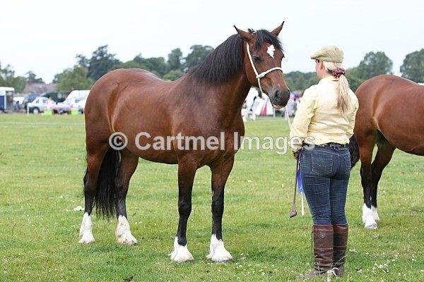 JMB_4690 - Morecambe Bay Riding Club July 2011 - In Hand Ring