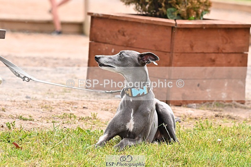 250718-123436-10425 - Cls 22, Amateur Tour