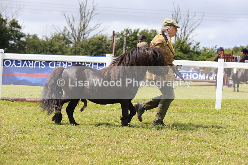 1X9A4759 - Class 35: Veteran In Hand