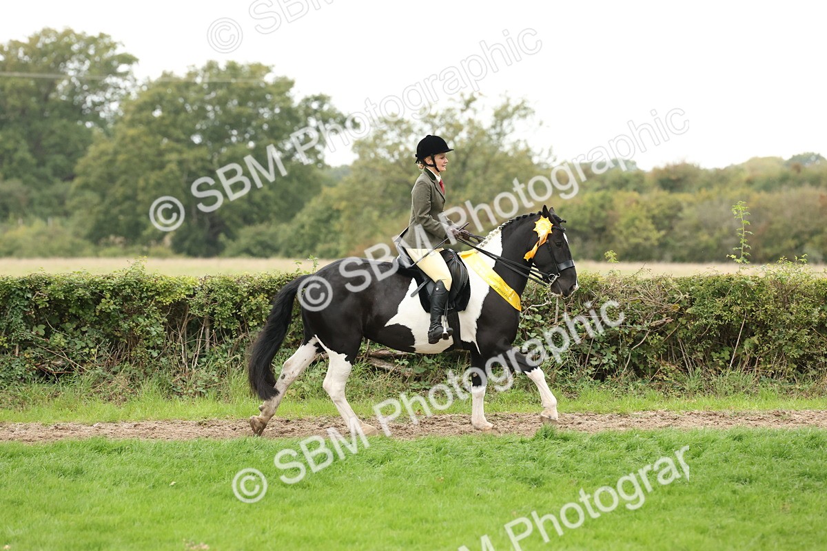 SBM_67329 - S67 - Piebald & Skewbald Horse Ridden