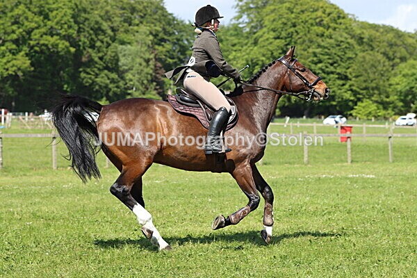 IMG_4478 - Working Hunter