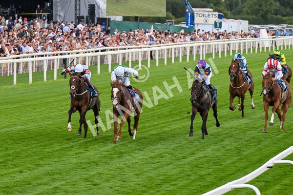 260725-Race 5-Beylerbeyi-0703 - Race 5 3.50pm Sky Bet, For The Fans Handicap