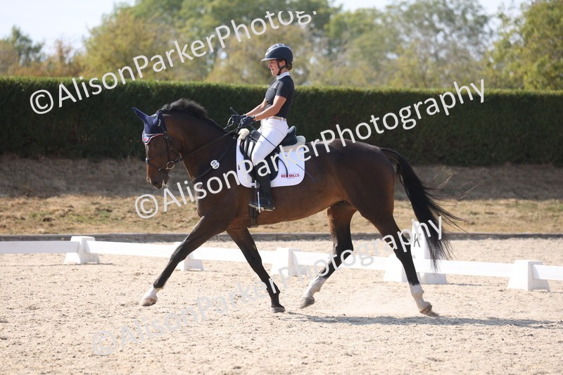20260815-1159 - Class 6 - Novice 2
