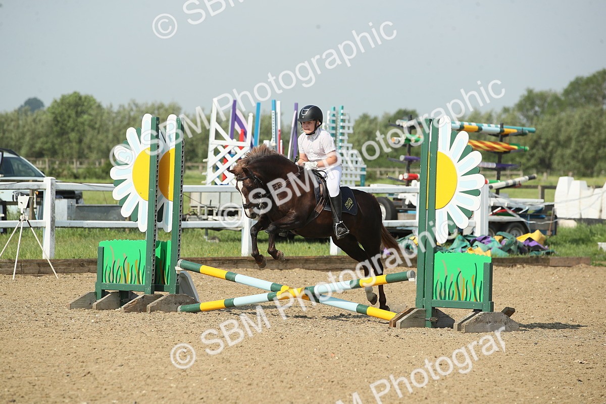 SBM_010732 - 50cm