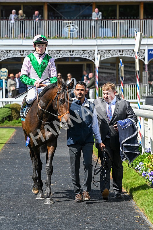 140526-Race 1-Persian Spring-4428 - Race 1 1.45pm Sky Bet ebfstallions.com Novice Stakes