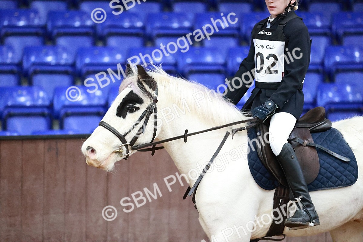 SBM_000295 - Class 1 - Cross Pole Jumping 30cm 40cm