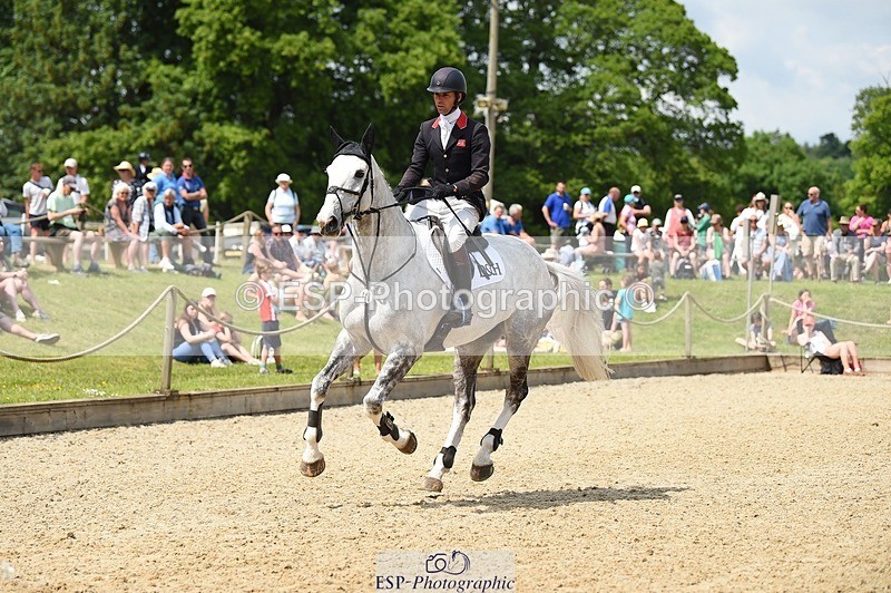 230528-143120-18640 - 118-HIGH_HOPES_VIKING-Harry_Meade-SUNTrotUp+SJ