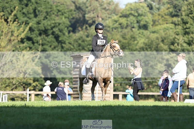 250823A-091204-25882 - Arena D