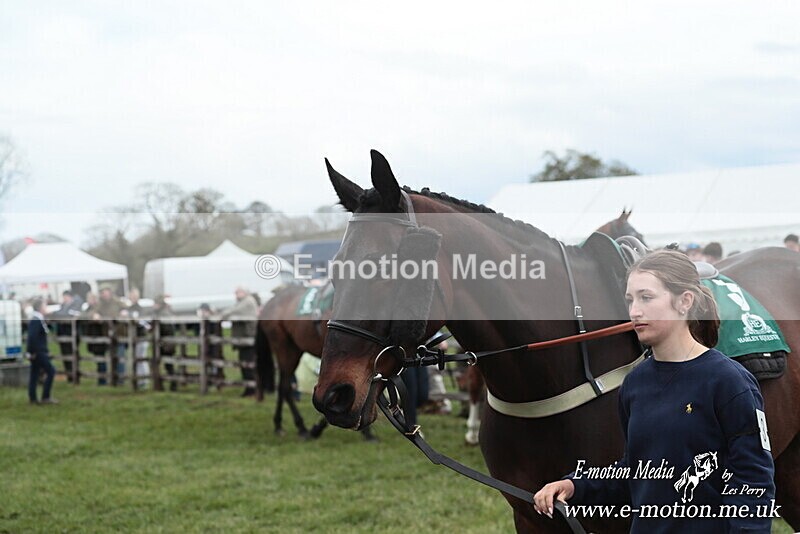 PtP 130425 19 - Edgecote Races 13/04/25