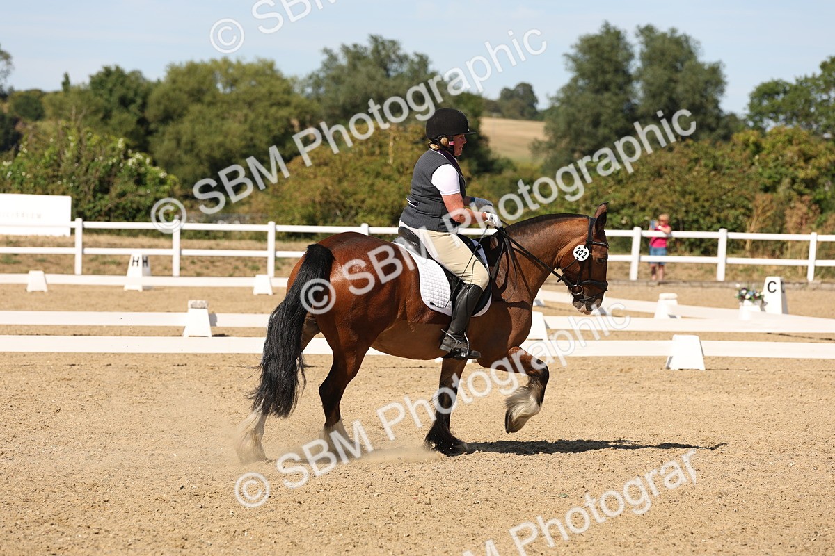 SBM_003802 - Elementary 4