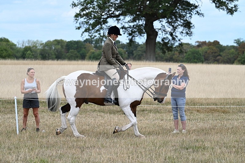 WJ7_4856 - Class 12 Ridden Cob