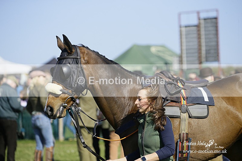 PtP 190322 443 - Wilton Hunt PtP Milborne St Andrew 19/03/22