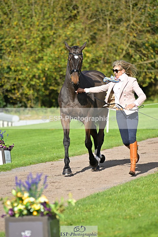 241023-130759-00086 - 056-Claire.Deuten-KILBUNNY.BLUE.BIRD