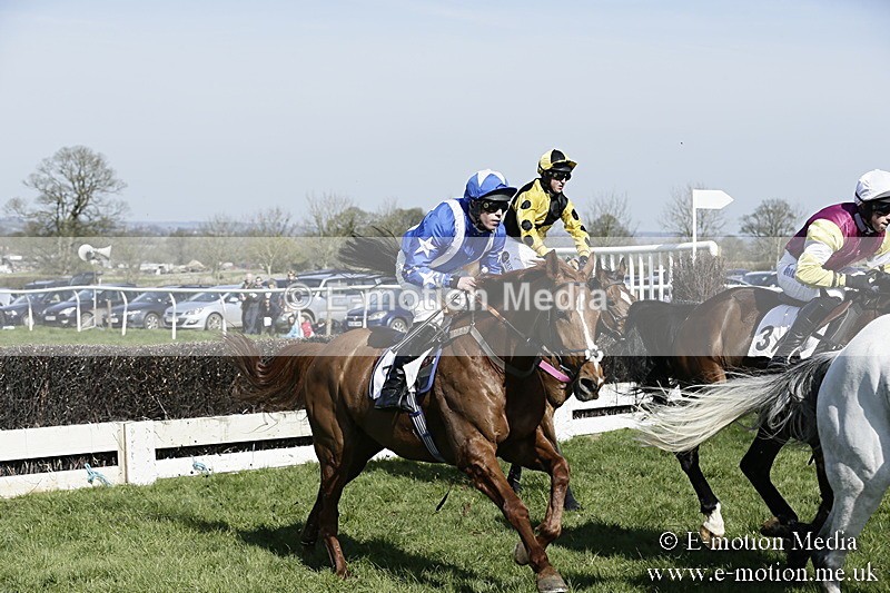 PtP 260317 114 - Mendip Farmers Point-to-Point Ston Easton 26/03/17