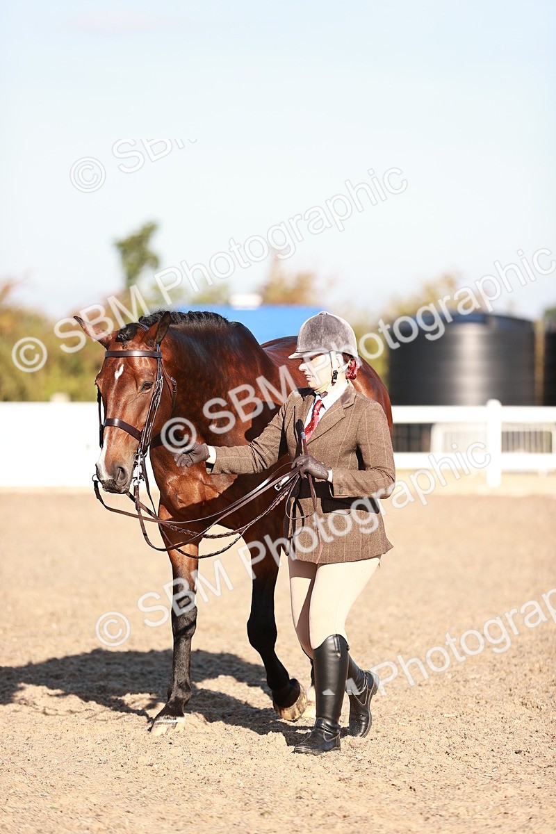 SBM_11217 - Class 401 - IH  Veteran horse