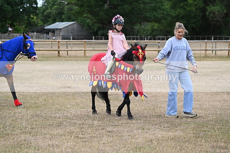 WJ6_8650 - Class 11 Fancy Dress