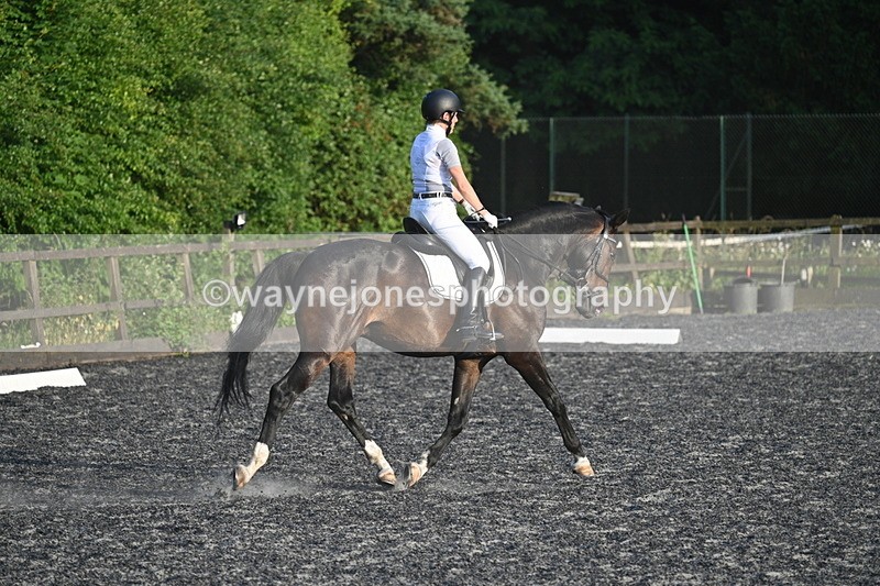 WJ7_0569 - Time 19:38 to 20:00