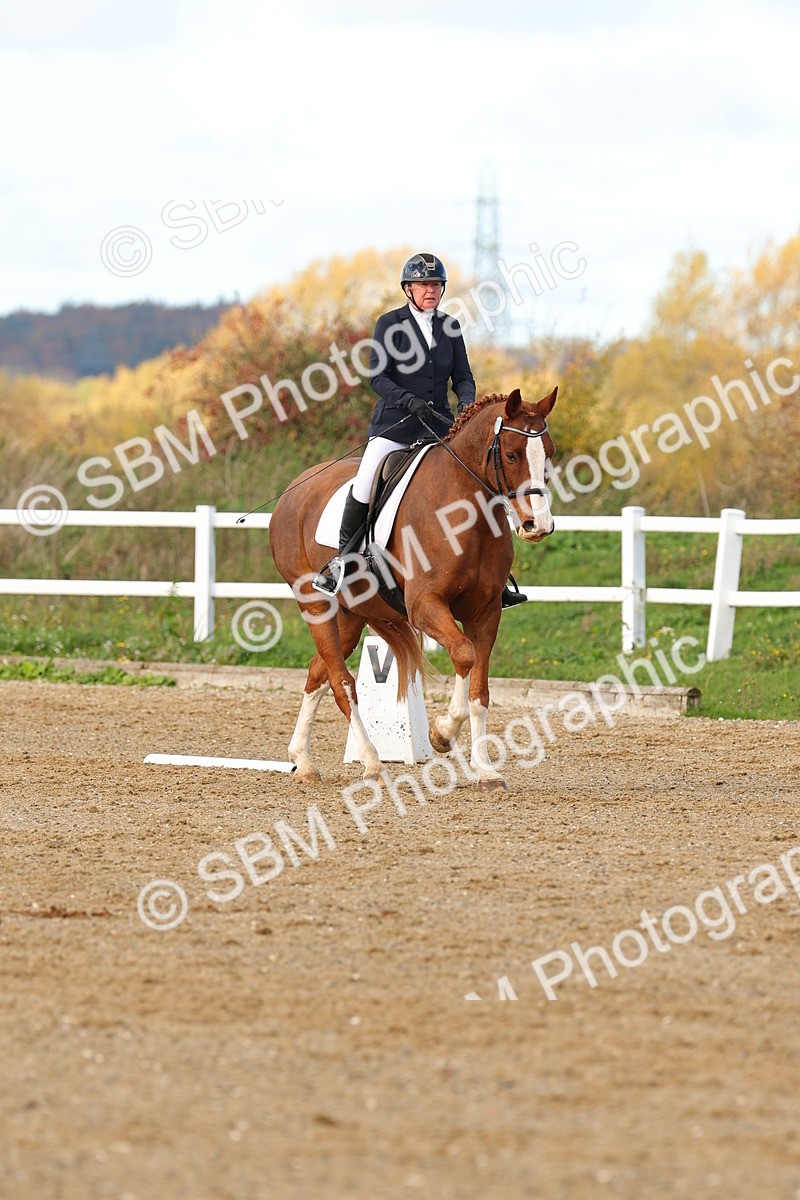 SBM_000764 - Novice 4