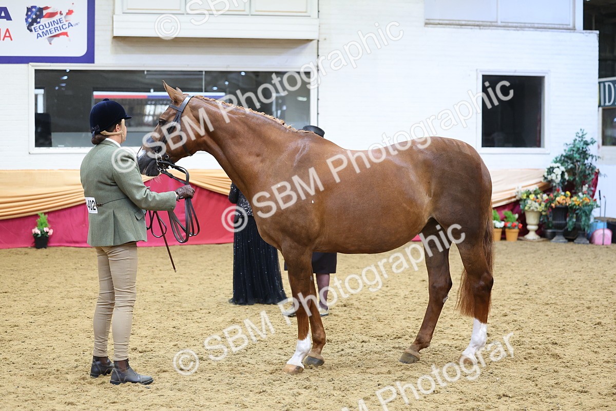 SBM_22745 - Class 903 - Supreme Final - IH Pre Vet