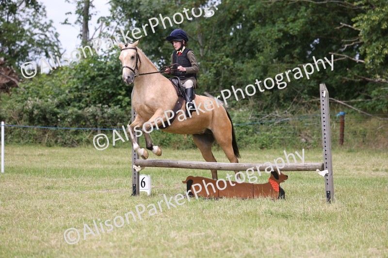 20260614-2956 - Class 22 - Open Working Hunter