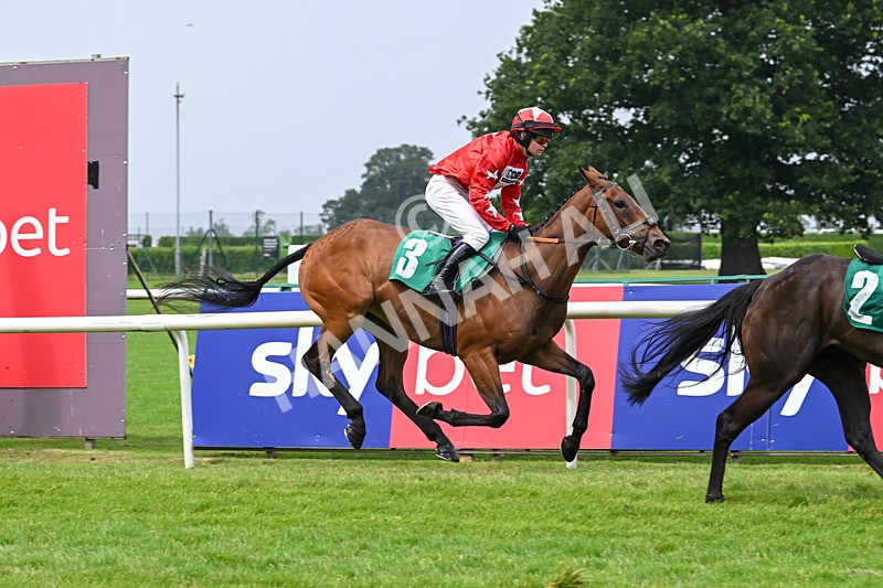 250725-Graham Lee IJF Stable Staff Stakes-E-3942 - The Graham Lee IJF Fund Stable Staff Stakes