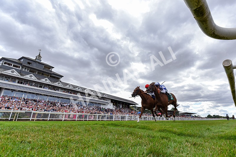 010826-Race 3-Brighton Beach-4565 - Race 3 14.43pm Theakston Great Yorkshire Pint EBF Novice Stakes