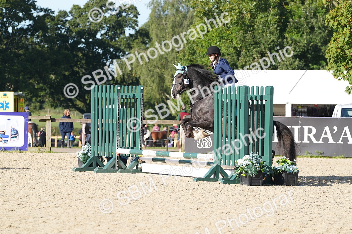 SBM_34452 - J62 - Clear Round 50cm
