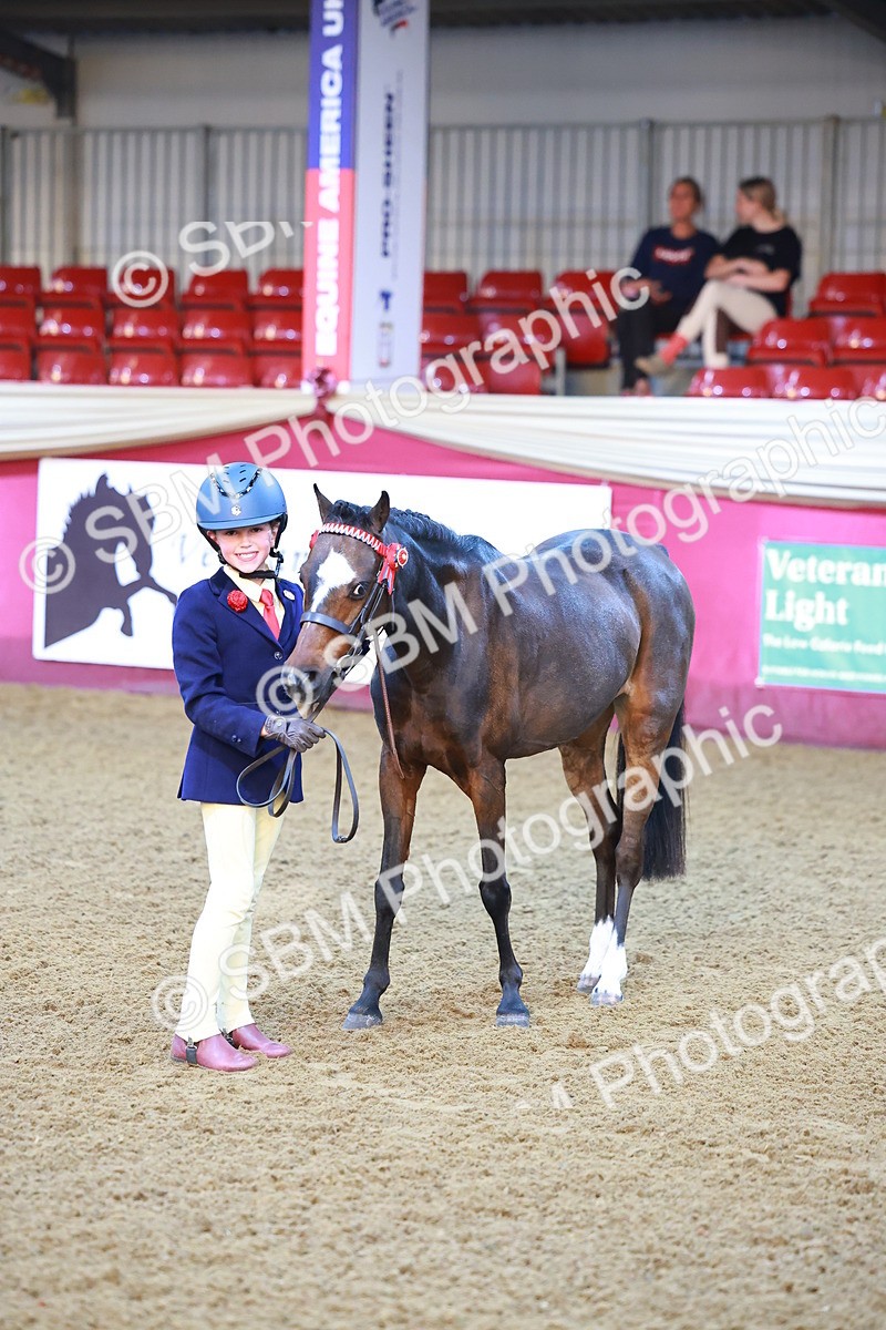 SBM_14600 - Class A - Junior Champ 10 year and Under