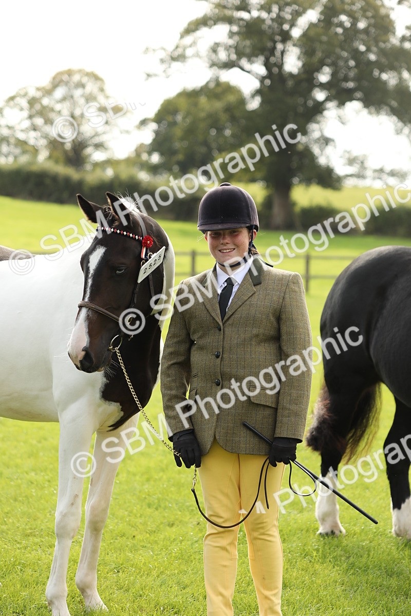 SBM_68720 - S40 - Junior Handler 9-12 Years