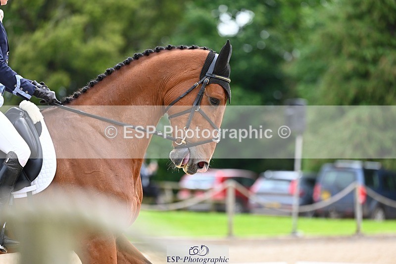 240524-090311-07643 - 501-BRUNO_FG-Edie_Campbell