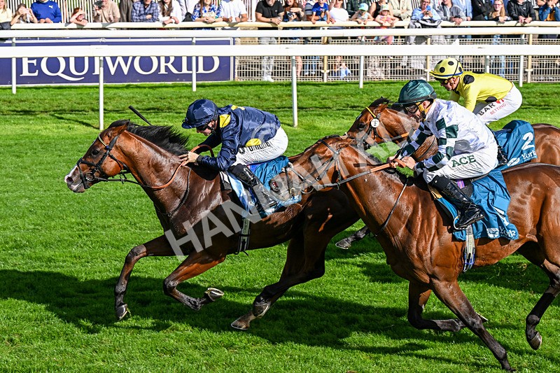 060926-Race 5-Extremely Zain-0337 - Race 5 3.50pm Starman At Tally Ho Stud Garrowby Stakes