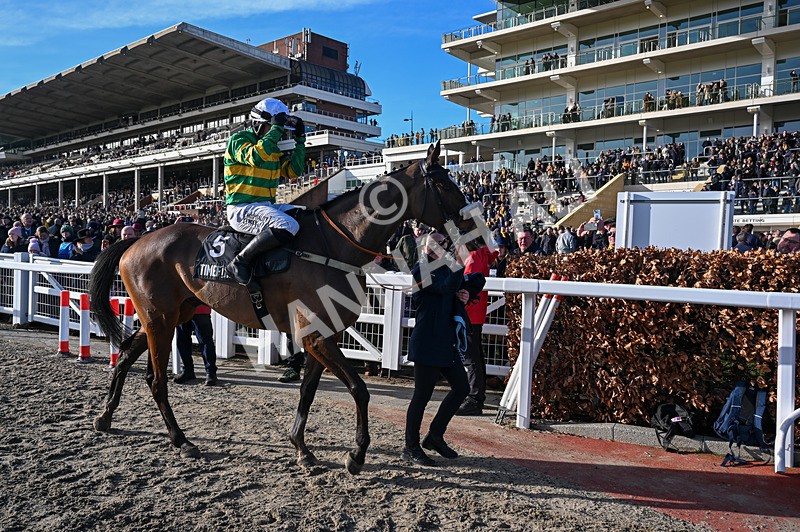 250125-Race 1-Jagwar-2972 - Race 1