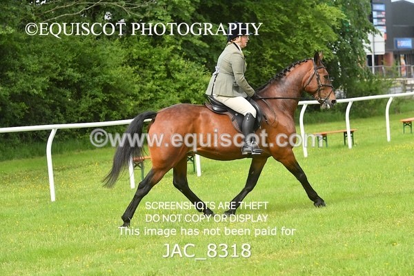 JAC_8318 - CLASS 1 BHS 1M SCONE QUALIFIER